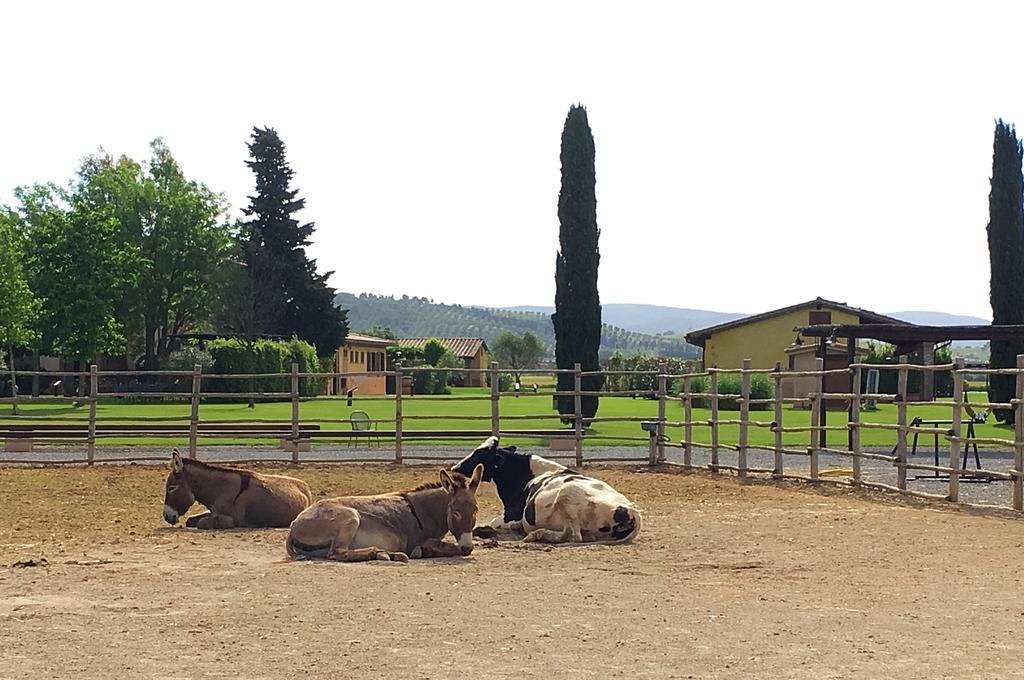 Agriturismo Giuncola & Granaiolo Rispescia Exterior foto