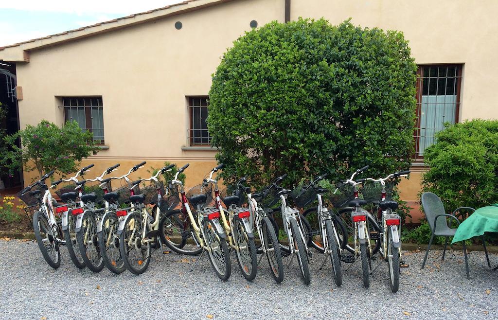 Agriturismo Giuncola & Granaiolo Rispescia Exterior foto