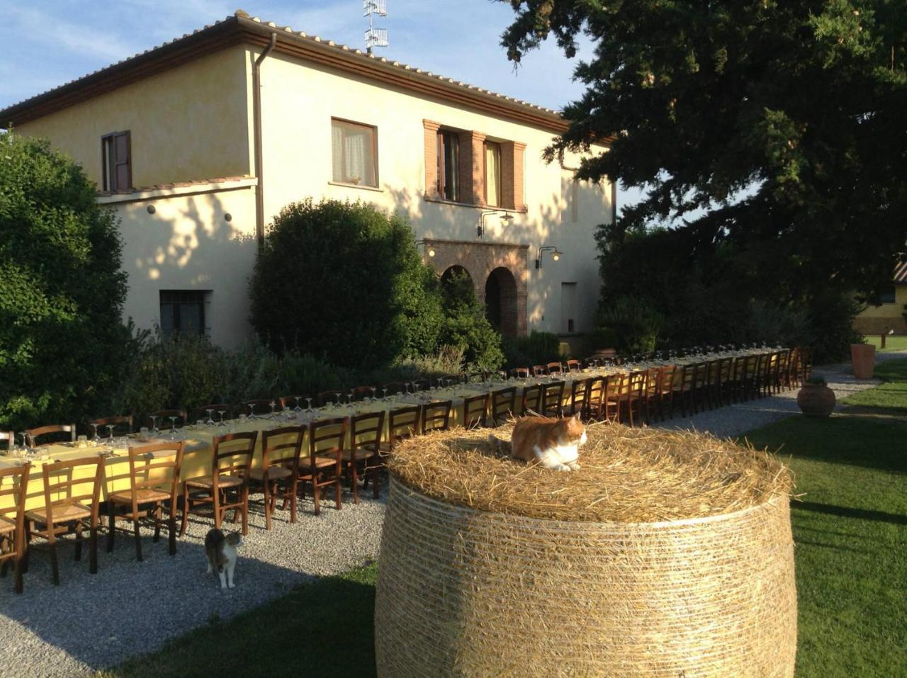 Agriturismo Giuncola & Granaiolo Rispescia Exterior foto